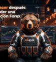Qué hacer después de perder una evaluación Forex